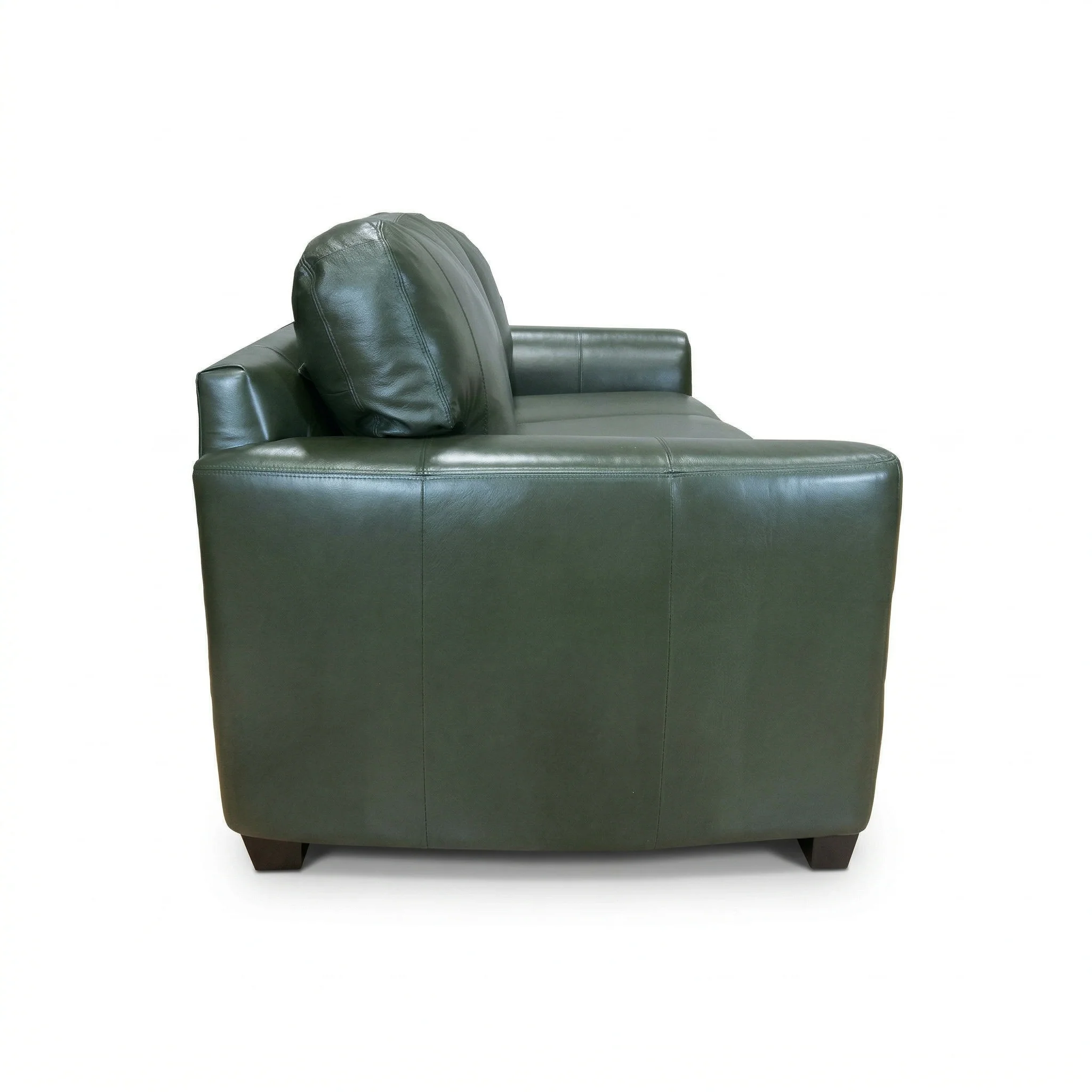 Dempsey Sofa - Image 4