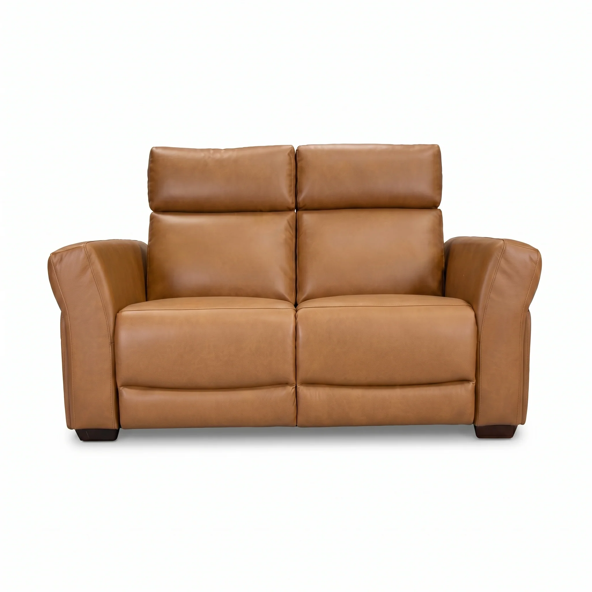 Vartan Reclining Loveseat