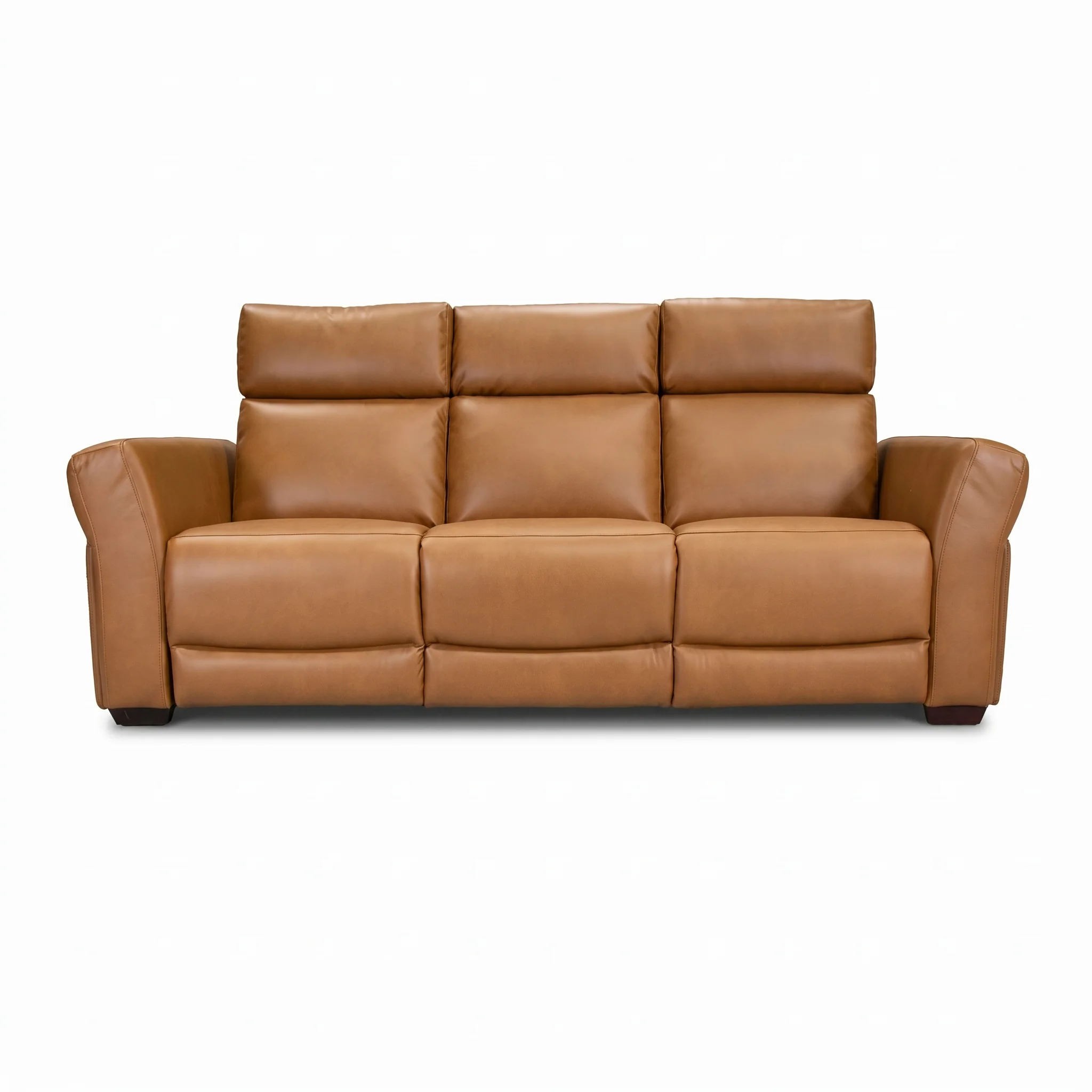 Vartan Reclining Sofa